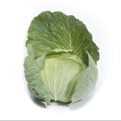 Kapusta Green Lunar f1 2500 nasion precyzja st